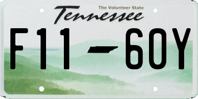 TN license plate F1160Y
