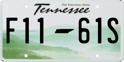 TN license plate F1161S