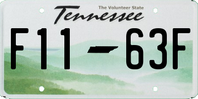TN license plate F1163F