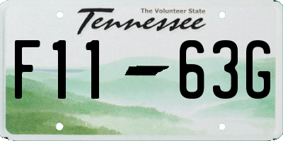 TN license plate F1163G