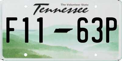 TN license plate F1163P