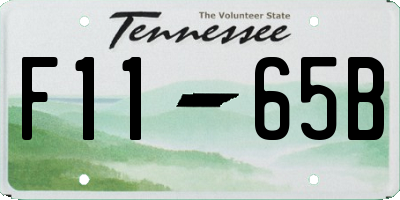 TN license plate F1165B