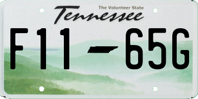 TN license plate F1165G