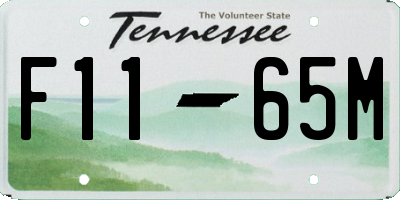 TN license plate F1165M