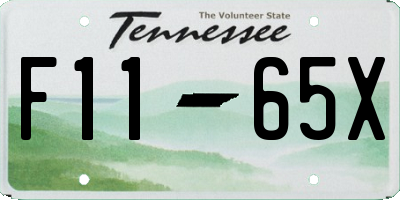 TN license plate F1165X