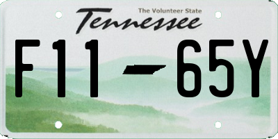 TN license plate F1165Y