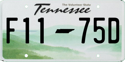 TN license plate F1175D