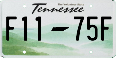TN license plate F1175F