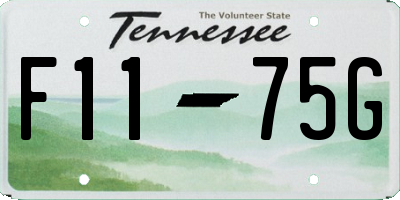 TN license plate F1175G