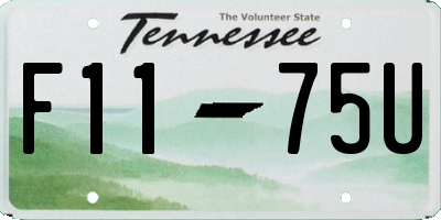 TN license plate F1175U