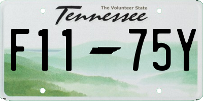 TN license plate F1175Y