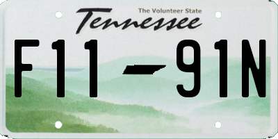 TN license plate F1191N
