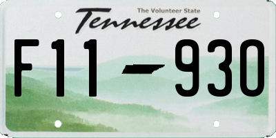 TN license plate F1193O