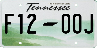 TN license plate F1200J