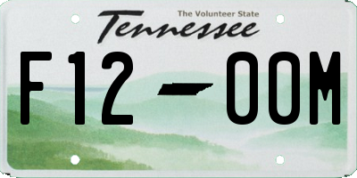 TN license plate F1200M