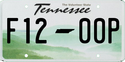 TN license plate F1200P