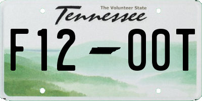 TN license plate F1200T