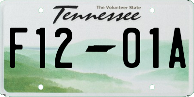 TN license plate F1201A