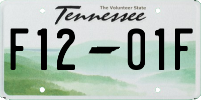 TN license plate F1201F