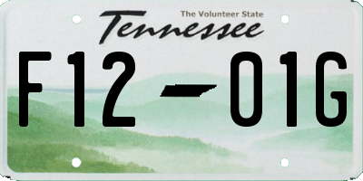 TN license plate F1201G