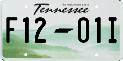 TN license plate F1201I