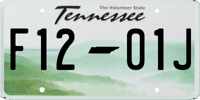 TN license plate F1201J