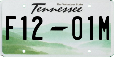 TN license plate F1201M