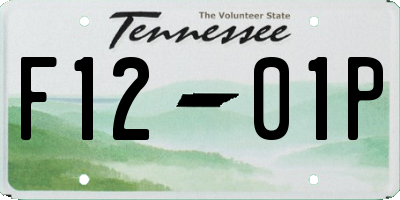 TN license plate F1201P
