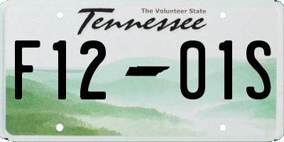 TN license plate F1201S