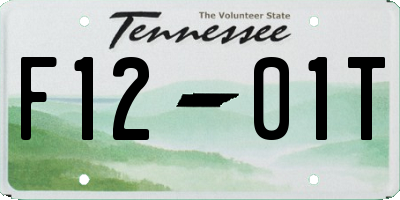 TN license plate F1201T