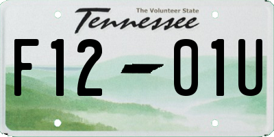TN license plate F1201U