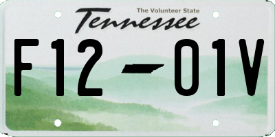TN license plate F1201V
