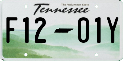 TN license plate F1201Y