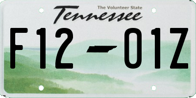 TN license plate F1201Z
