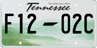 TN license plate F1202C
