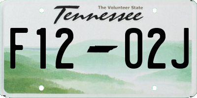 TN license plate F1202J