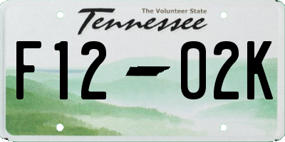 TN license plate F1202K