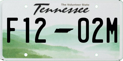 TN license plate F1202M