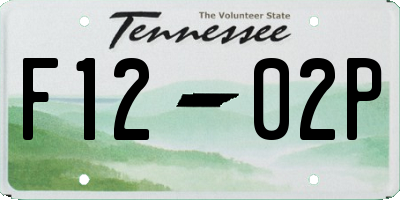 TN license plate F1202P