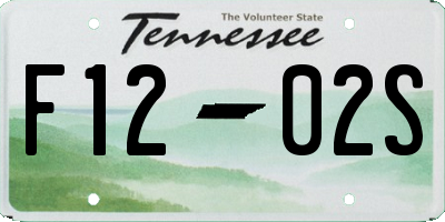 TN license plate F1202S