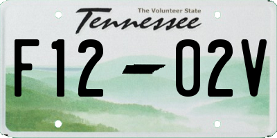 TN license plate F1202V