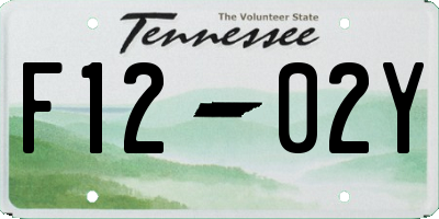 TN license plate F1202Y