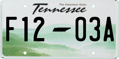TN license plate F1203A