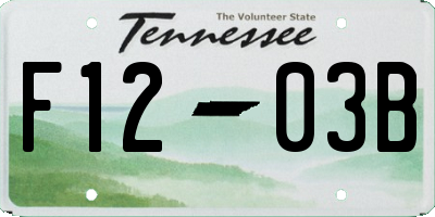 TN license plate F1203B