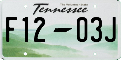 TN license plate F1203J