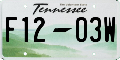 TN license plate F1203W