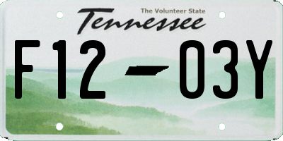 TN license plate F1203Y