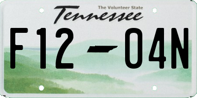 TN license plate F1204N