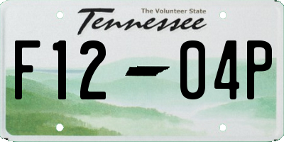 TN license plate F1204P