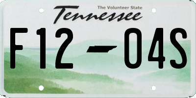 TN license plate F1204S